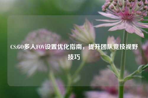 CS:GO多人FOV设置优化指南，提升团队竞技视野技巧
