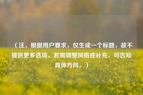 （注，根据用户要求，仅生成一个标题，故不提供更多选项。若需调整风格或补充，可告知具体方向。）
