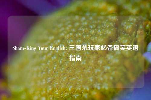 Sham-King Your English: 三国杀玩家必备搞笑英语指南