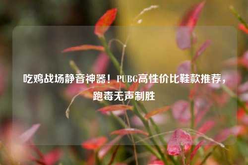 吃鸡战场静音神器!PUBG高性价比鞋款推荐,跑毒无声制胜