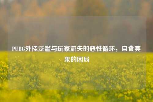PUBG外挂泛滥与玩家流失的恶性循环，自食其果的困局