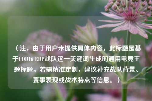 (注,由于用户未提供具体内容,此标题是基于COD16 EDP战队这一关键词生成的通用电竞主题标题。若需精准定制,建议补充战队背景、赛事表现或战术特点等信息。)