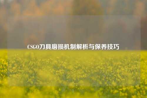 CSGO刀具磨损机制解析与保养技巧