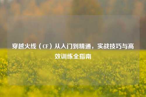 穿越火线(CF)从入门到精通,实战技巧与高效训练全指南