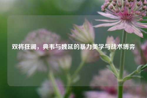 双将狂澜，典韦与魏延的暴力美学与战术博弈