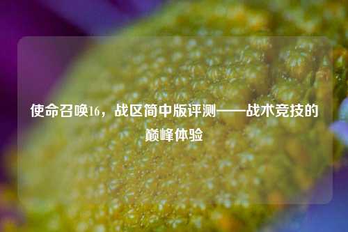 使命召唤16,战区简中版评测——战术竞技的巅峰体验