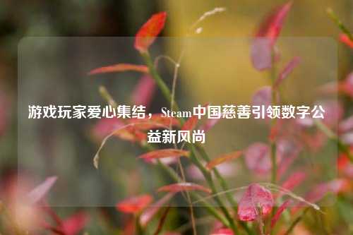 游戏玩家爱心集结,Steam中国慈善引领数字公益新风尚