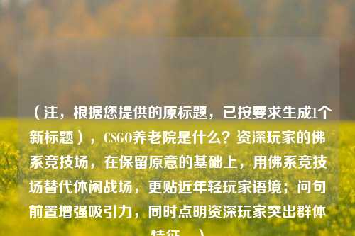 (注,根据您提供的原标题,已按要求生成1个新标题),CSGO养老院是什么?资深玩家的佛系竞技场,在保留原意的基础上,用佛系竞技场替代休闲战场,更贴近年轻玩家语境;问句前置增强吸引力,同时点明资深玩家突出群体特征。)