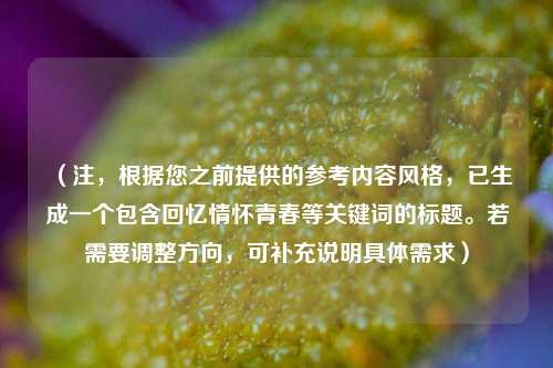 （注，根据您之前提供的参考内容风格，已生成一个包含回忆情怀青春等关键词的标题。若需要调整方向，可补充说明具体需求）