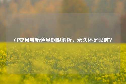 CF交易宝箱道具期限解析,永久还是限时?