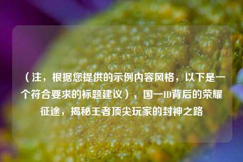 （注，根据您提供的示例内容风格，以下是一个符合要求的标题建议），国一ID背后的荣耀征途，揭秘王者顶尖玩家的封神之路