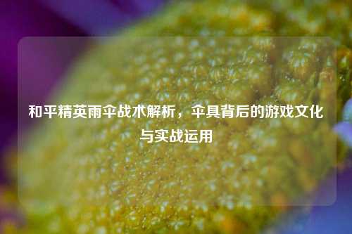 和平精英雨伞战术解析,伞具背后的游戏文化与实战运用