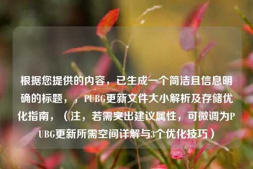 根据您提供的内容，已生成一个简洁且信息明确的标题，，PUBG更新文件大小解析及存储优化指南，（注，若需突出建议属性，可微调为PUBG更新所需空间详解与3个优化技巧）
