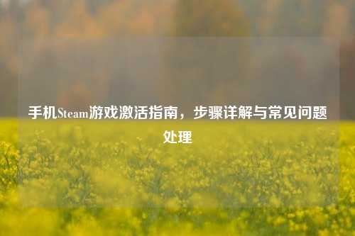 手机Steam游戏激活指南，步骤详解与常见问题处理