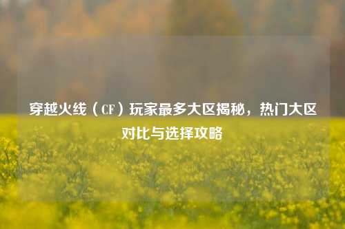 穿越火线（CF）玩家最多大区揭秘，热门大区对比与选择攻略