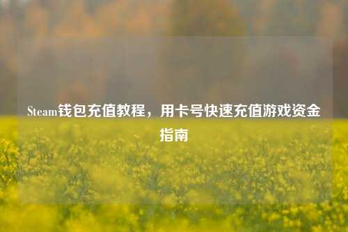Steam钱包充值教程，用卡号快速充值游戏资金指南