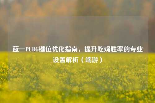 蓝一PUBG键位优化指南,提升吃鸡胜率的专业设置解析(端游)