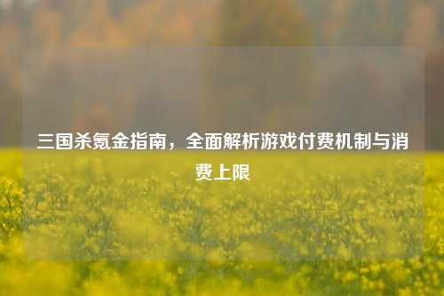 三国杀氪金指南,全面解析游戏付费机制与消费上限