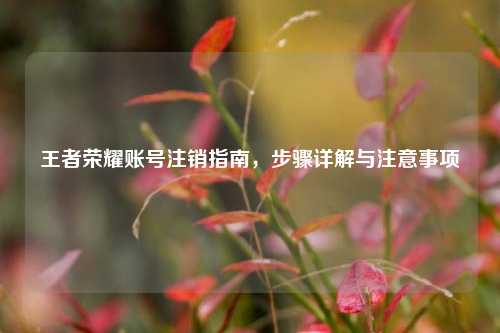 王者荣耀账号注销指南,步骤详解与注意事项