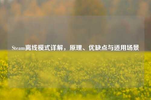 Steam离线模式详解,原理、优缺点与适用场景