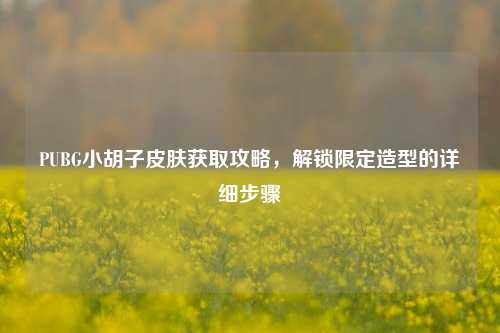 PUBG小胡子皮肤获取攻略,解锁限定造型的详细步骤