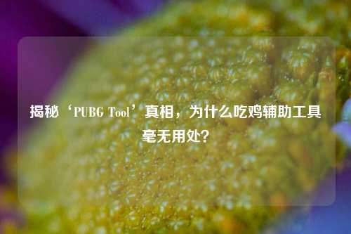 揭秘‘PUBG Tool’真相,为什么吃鸡辅助工具毫无用处?
