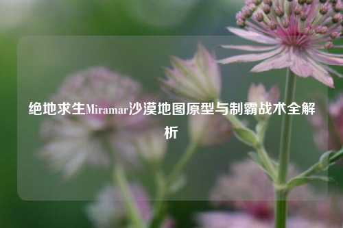 绝地求生Miramar沙漠地图原型与制霸战术全解析