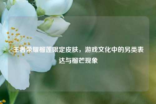 王者荣耀榴莲限定皮肤,游戏文化中的另类表达与榴芒现象