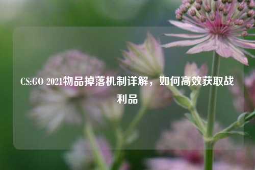 CS:GO 2021物品掉落机制详解,如何高效获取战利品