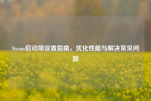 Steam启动项设置指南,优化性能与解决常见问题