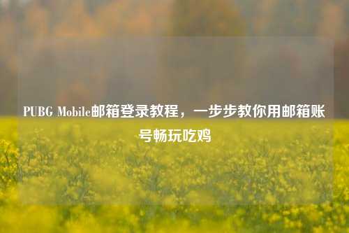 PUBG Mobile邮箱登录教程,一步步教你用邮箱账号畅玩吃鸡
