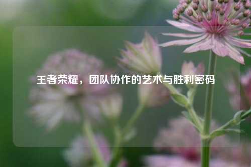 王者荣耀,团队协作的艺术与胜利密码