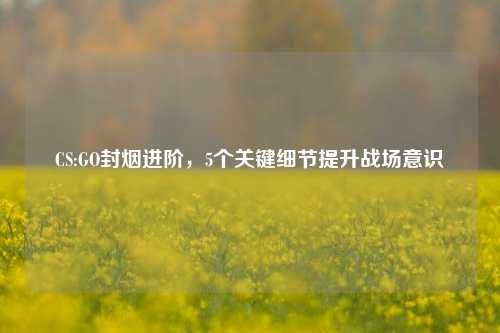 CS:GO封烟进阶,5个关键细节提升战场意识