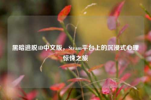 黑暗逃脱4D中文版,Steam平台上的沉浸式心理惊悚之旅
