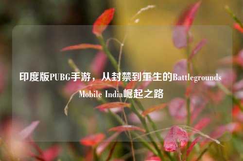 印度版PUBG手游,从封禁到重生的Battlegrounds Mobile India崛起之路