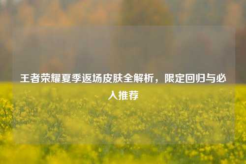 王者荣耀夏季返场皮肤全解析,限定回归与必入推荐