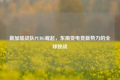 新加坡战队PUBG崛起,东南亚电竞新势力的全球挑战