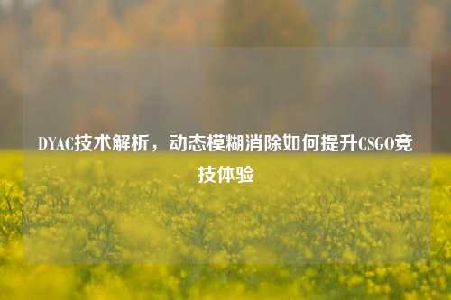 DYAC技术解析,动态模糊消除如何提升CSGO竞技体验