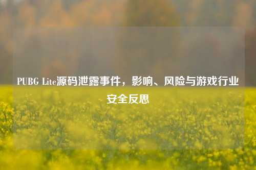 PUBG Lite源码泄露事件,影响、风险与游戏行业安全反思