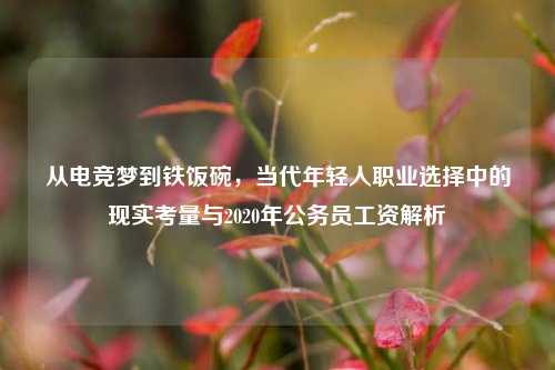 从电竞梦到铁饭碗,当代年轻人职业选择中的现实考量与2020年公务员工资解析