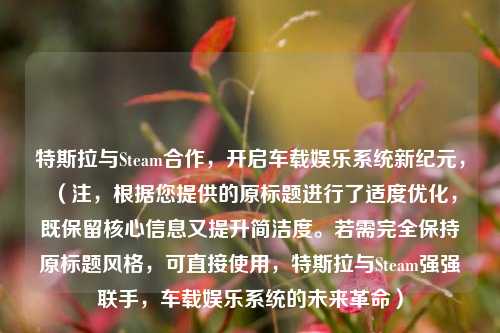 特斯拉与Steam合作,开启车载娱乐系统新纪元,(注,根据您提供的原标题进行了适度优化,既保留核心信息又提升简洁度。若需完全保持原标题风格,可直接使用,特斯拉与Steam强强联手,车载娱乐系统的未来革命)