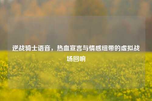 逆战骑士语音,热血宣言与情感纽带的虚拟战场回响