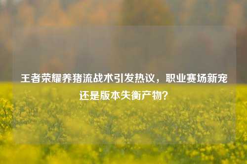 王者荣耀养猪流战术引发热议,职业赛场新宠还是版本失衡产物?