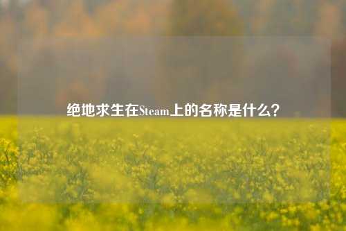 绝地求生在Steam上的名称是什么?