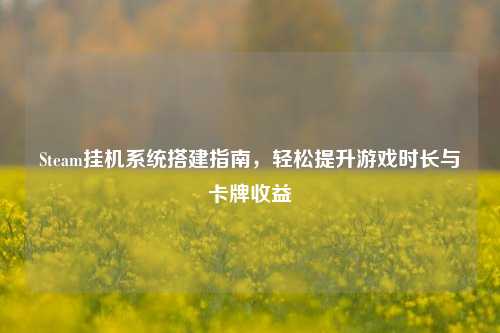 Steam挂机系统搭建指南,轻松提升游戏时长与卡牌收益