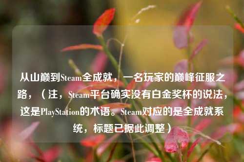 从山巅到Steam全成就,一名玩家的巅峰征服之路,(注,Steam平台确实没有白金奖杯的说法,这是PlayStation的术语。Steam对应的是全成就系统,标题已据此调整)