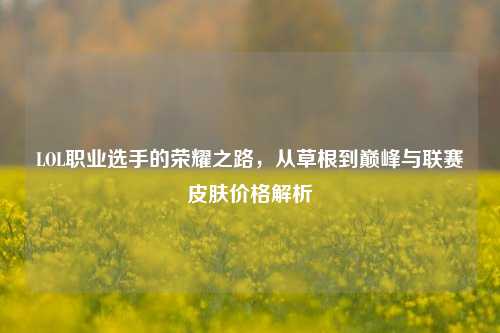 LOL职业选手的荣耀之路,从草根到巅峰与联赛皮肤价格解析