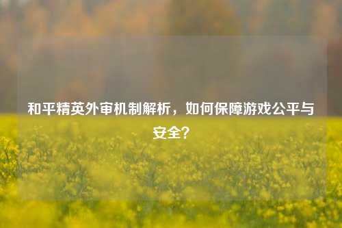 和平精英外审机制解析,如何保障游戏公平与安全?