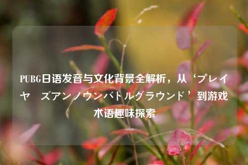 PUBG日语发音与文化背景全解析,从‘プレイヤーズアンノウンバトルグラウンド’到游戏术语趣味探索