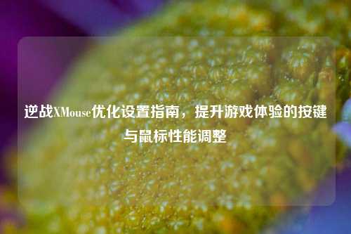 逆战XMouse优化设置指南,提升游戏体验的按键与鼠标性能调整